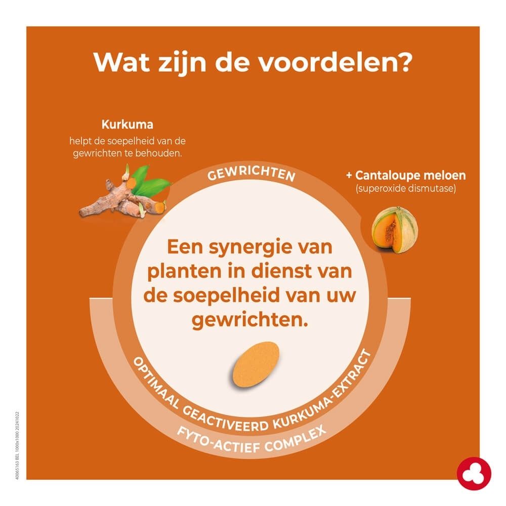 Grafiek met kurkuma en meloen die de synergie van planten voor gewrichten uitlegt.