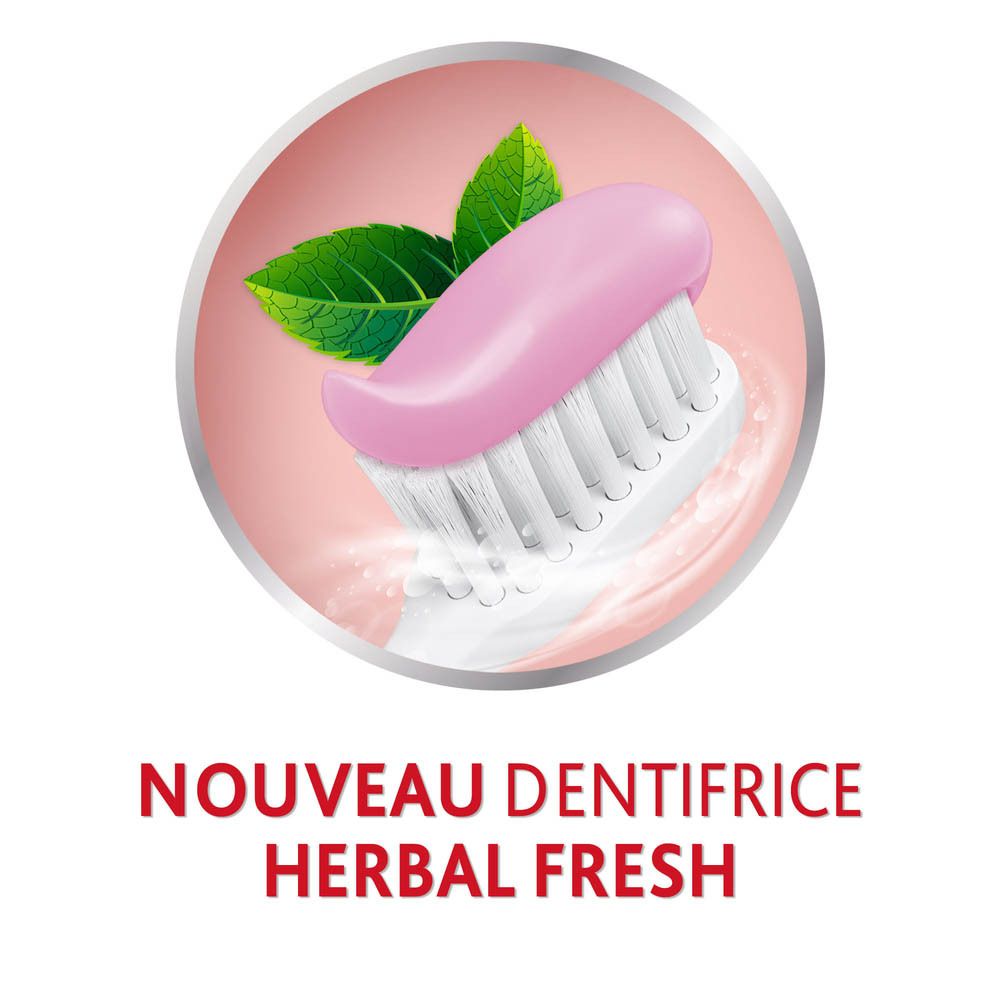 Parodontax Dentifrice Herbal Twist