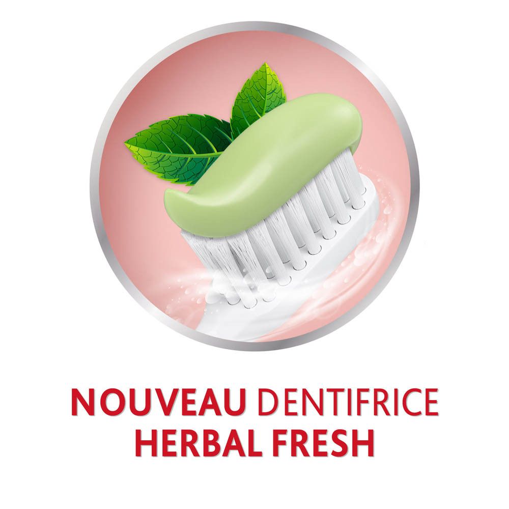 Parodontax Dentifrice Herbal Fresh