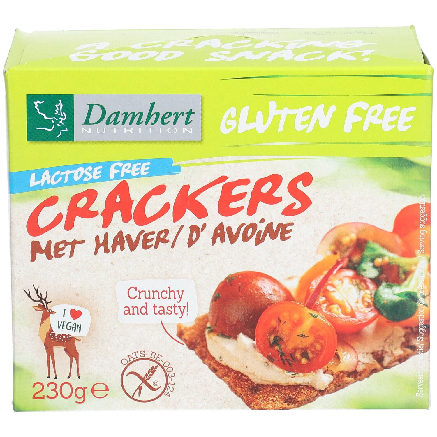 Damhert Sans Gluten Crackers Avoine Sans Lactose