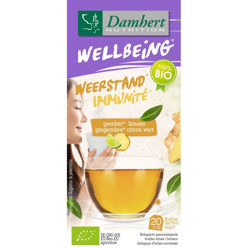 Damhert Wellbeing Thé Gingembre - Citron Vert Bio