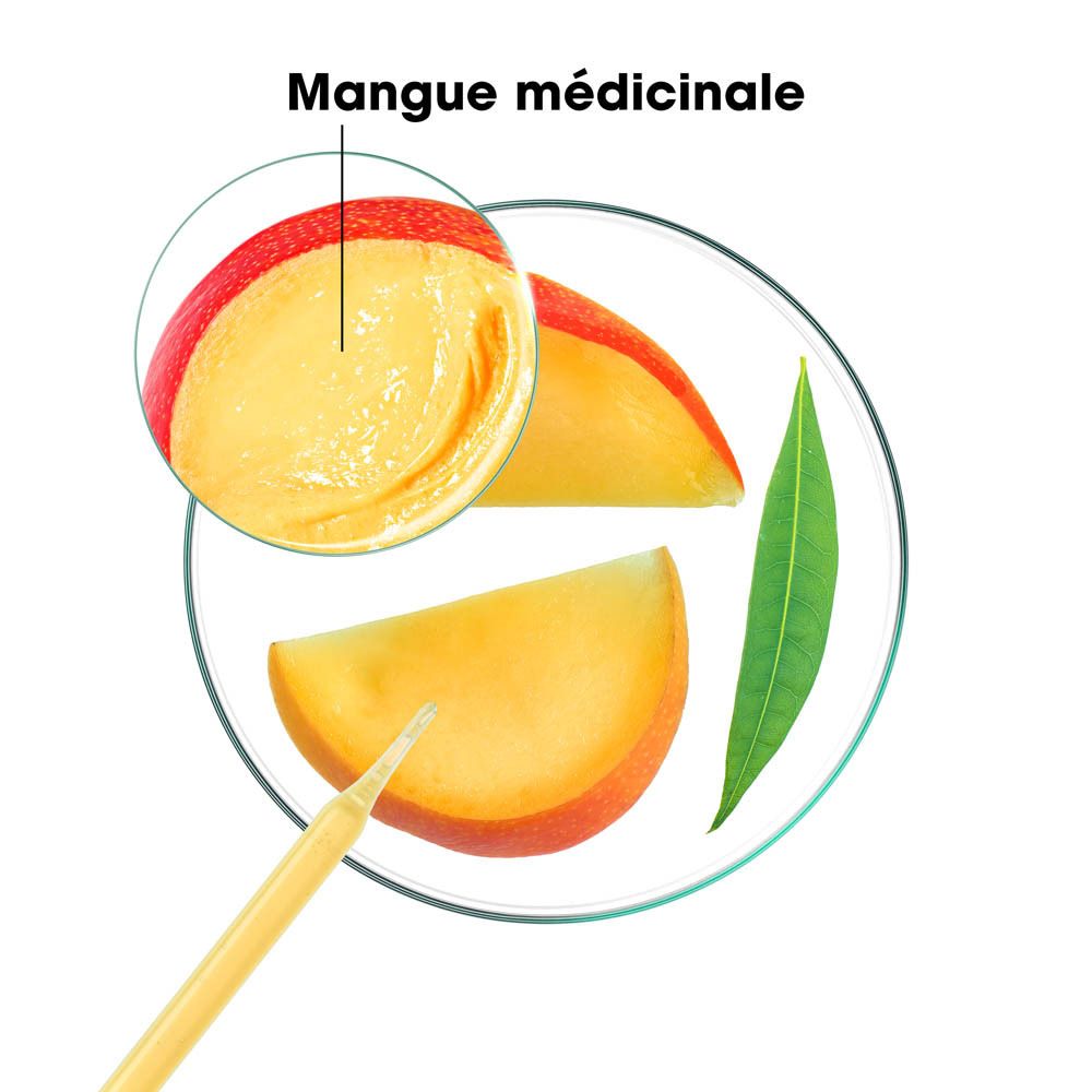 Gros plan de tranches de mangue et de feuilles dans un bol en verre. Texte : Mangue médicinale.