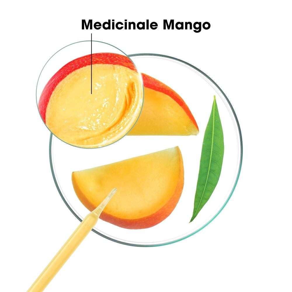 KLORANE Balsem met Mango, tube met fruitmotief en mangovrucht.