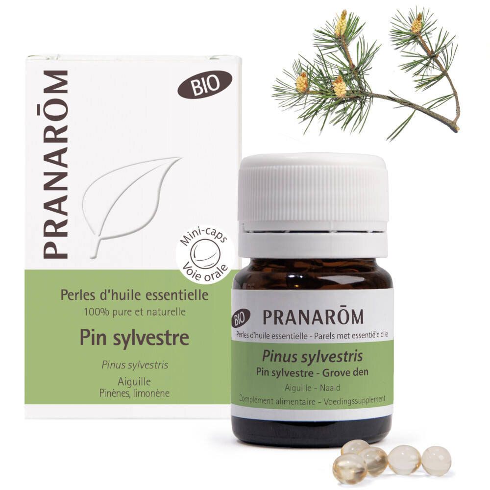 Pranarôm Aromaperles Pin Sylvestre Bio