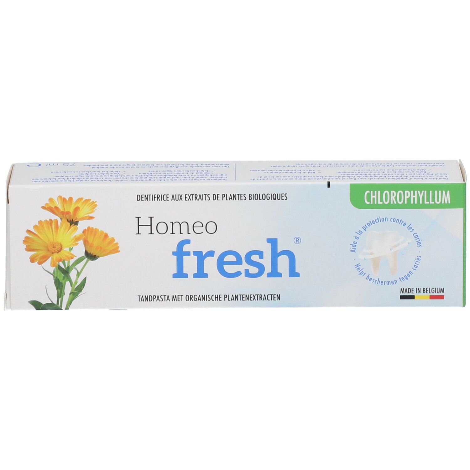 Homeofresh Dentifrice Chlorophyllum