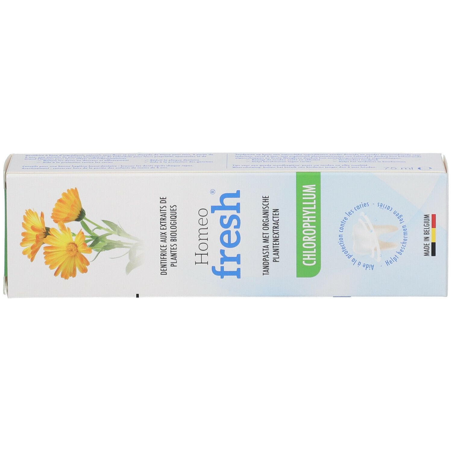 Homeofresh Dentifrice Chlorophyllum