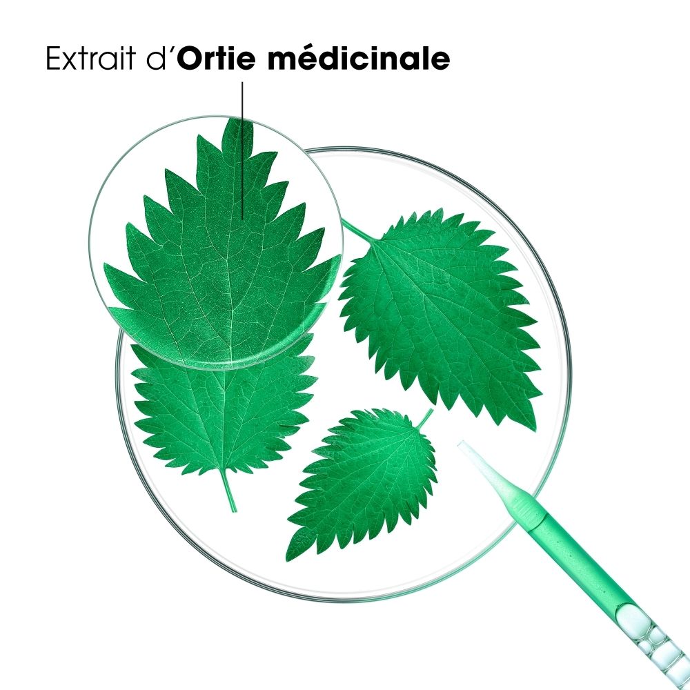 Bouteille de shampooing KLORANE à l'ortie sur une coiffure, avec des flèches indiquant "Réduit l'excès de sébum" et "Purifie le cuir chevelu".
