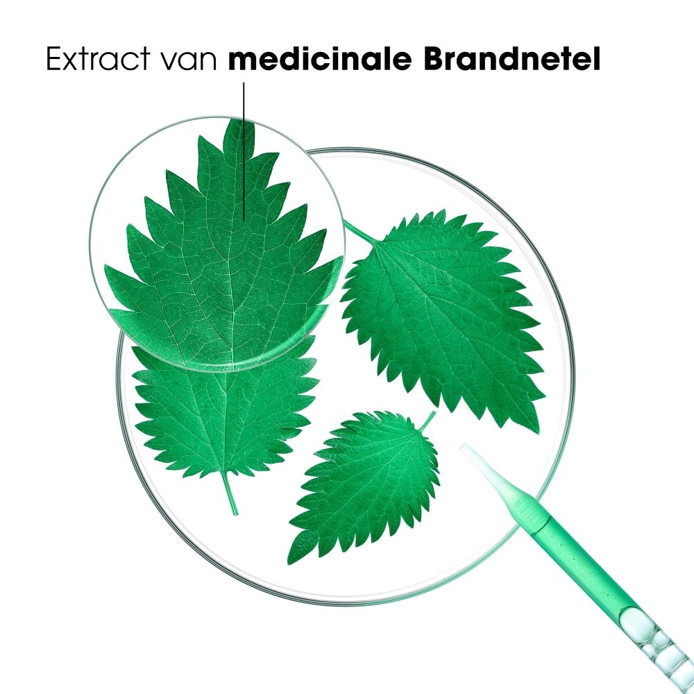 KLORANE brandnetelshampoo fles boven een kapsel, met pijlen die "Vermindert overtollig talg" en "Zuivert de hoofdhuid" aangeven.