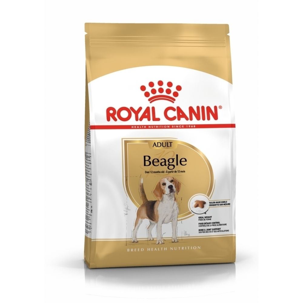 Illustratie van een Beagle hond voor Royal Canin Beagle Adult.