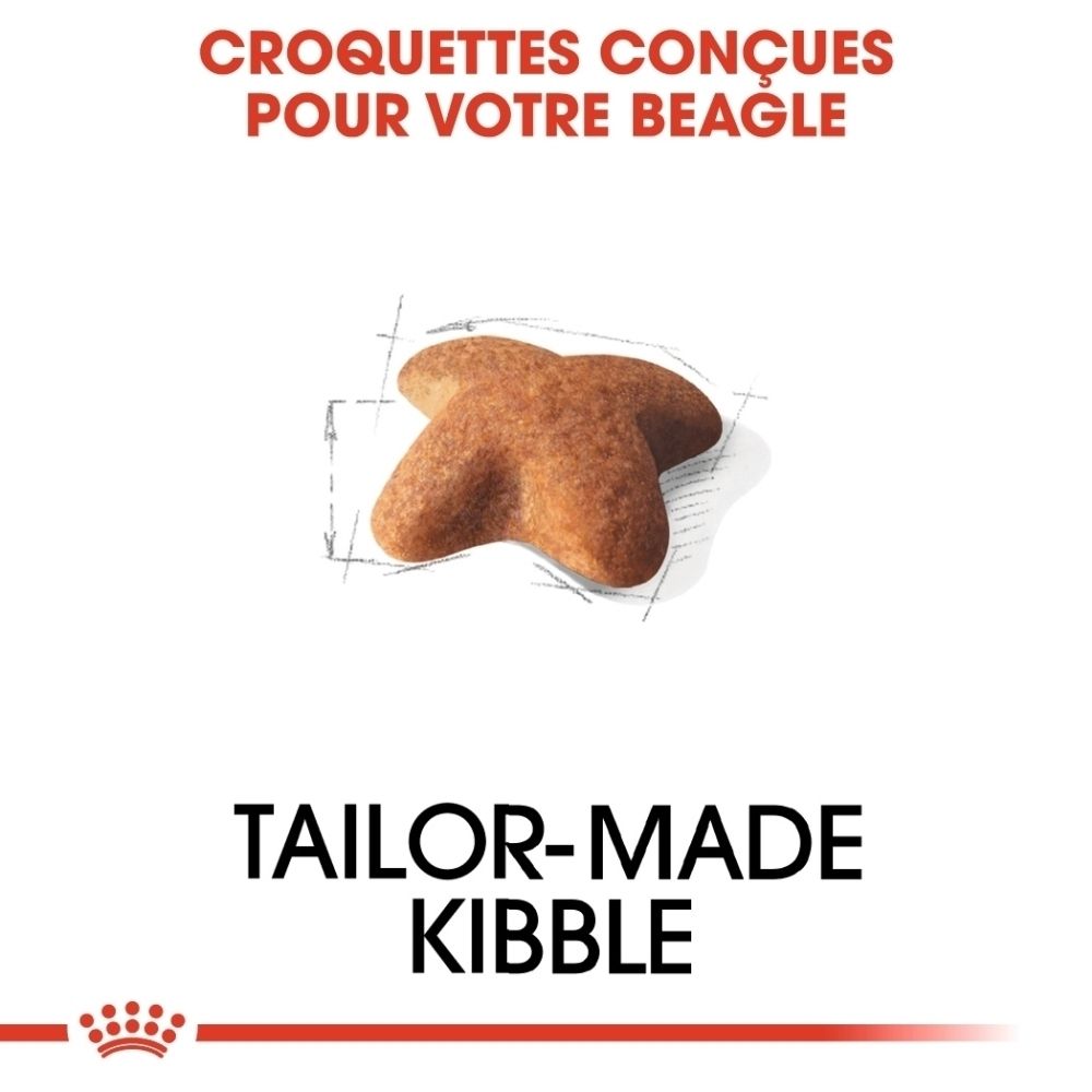 Tableau de rationnement Royal Canin Beagle Adulte par poids et activité.
