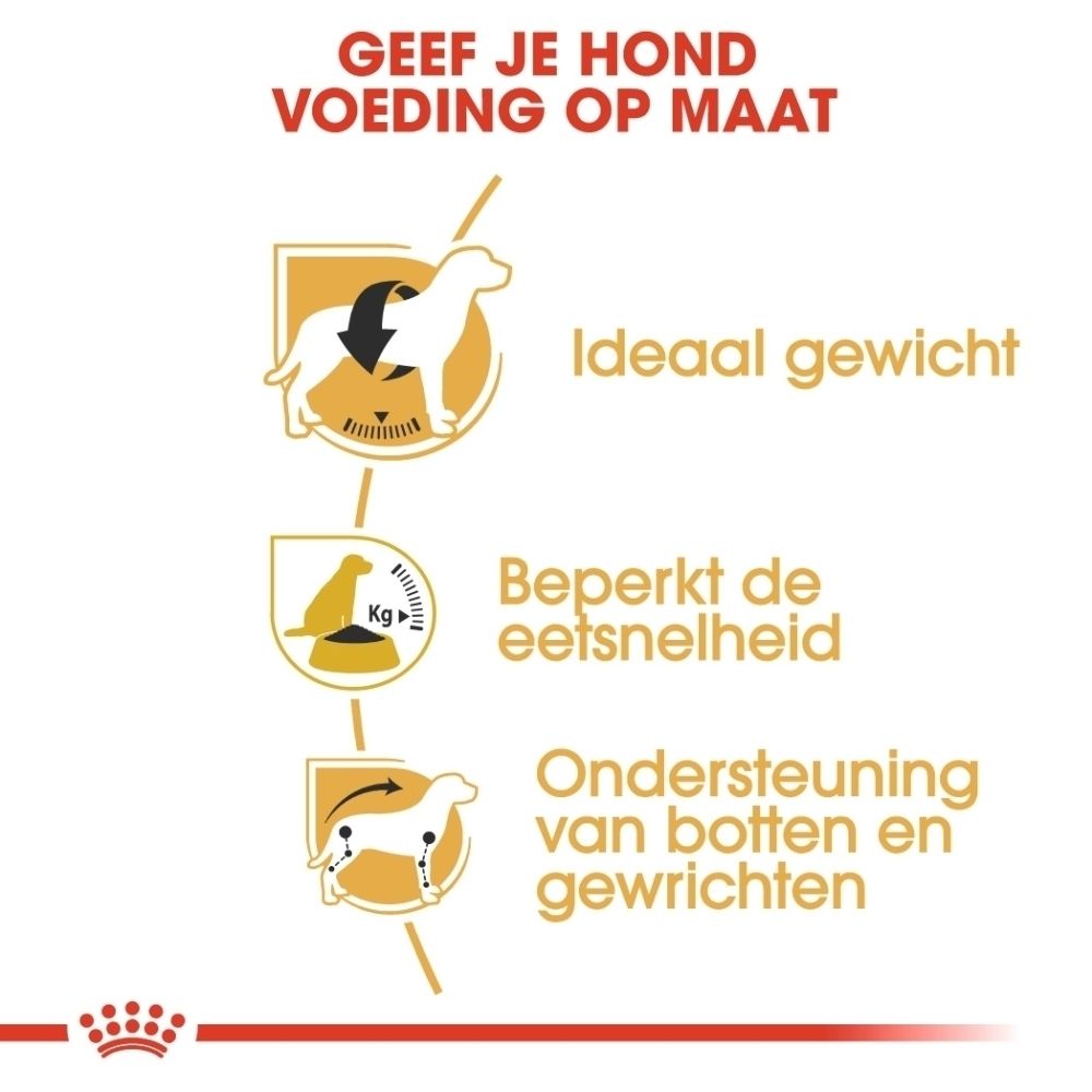 Speciaal ontworpen brokken voor Royal Canin Beagle Adult.