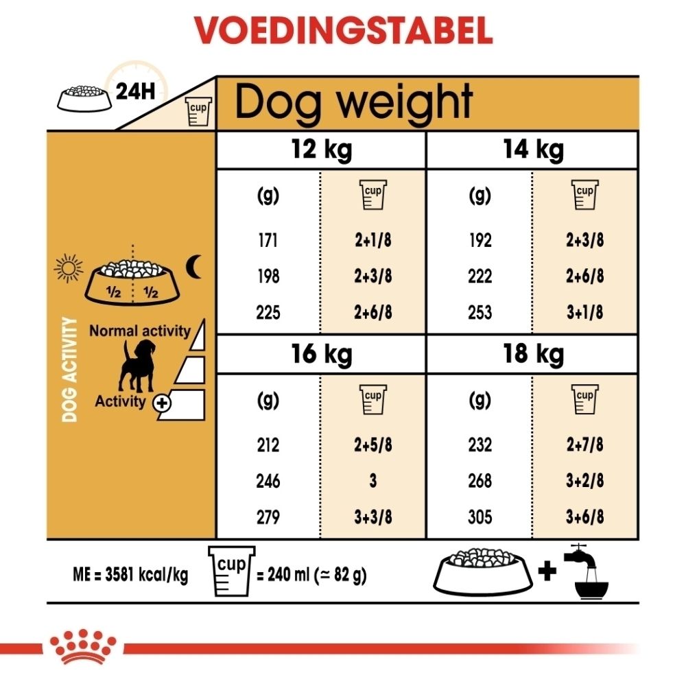 Illustratie van een Beagle hond voor Royal Canin Beagle Adult.