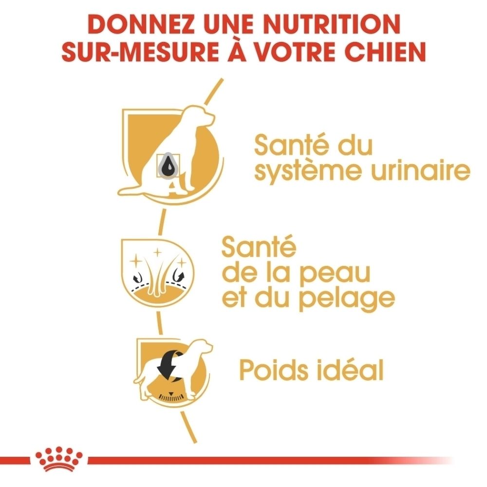 Trois icônes : chien avec goutte pour voies urinaires, plante pour peau/pelage, chien avec flèche pour poids idéal.