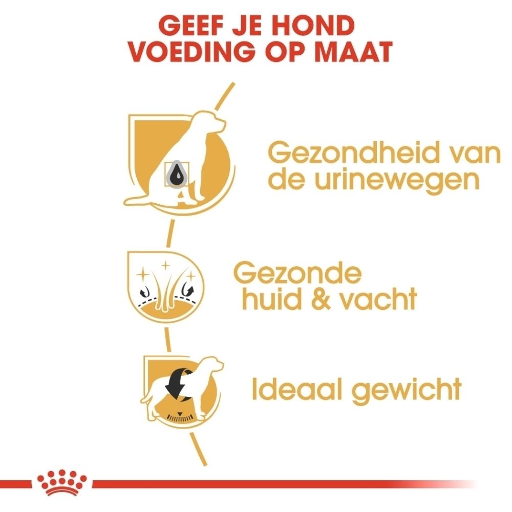 Hondenvoer: Ondersteunt urinewegen, huid, vacht en gewicht.
