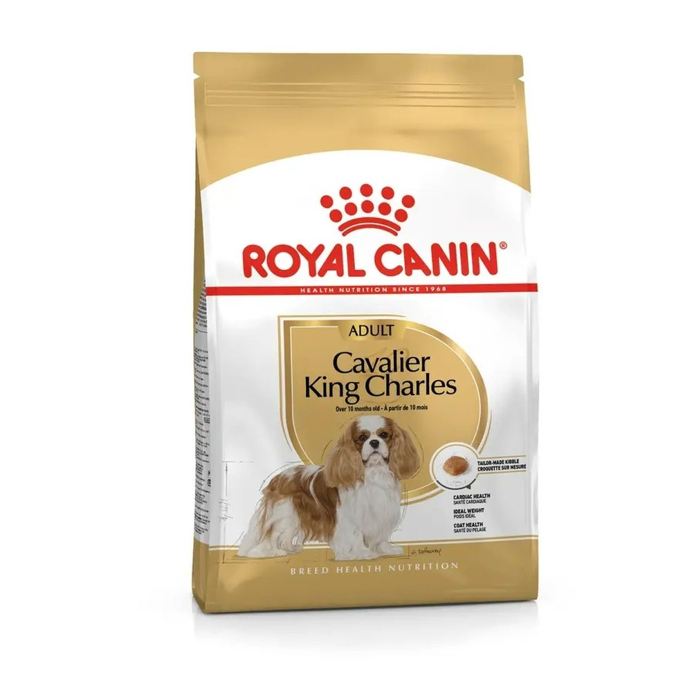 Royal Canin hondenvoer voor volwassen Cavalier King Charles. Gouden verpakking met hondenafbeelding.
