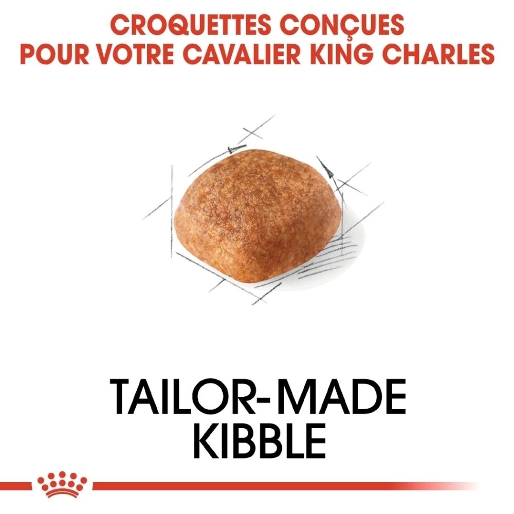Une seule croquette pour chien, brune, sur une esquisse.