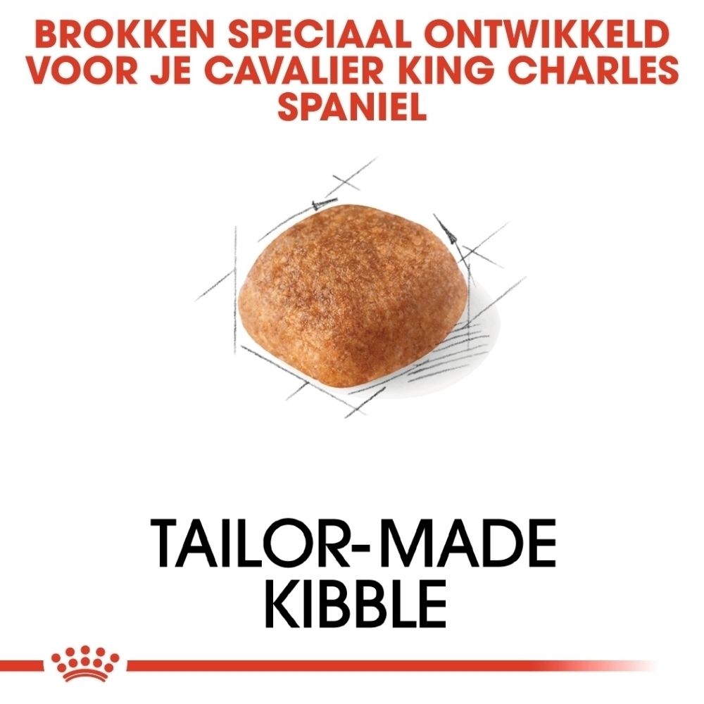 Een enkele bruine brok speciaal ontwikkeld voor Cavalier King Charles Spaniel, met schetsen op de achtergrond.