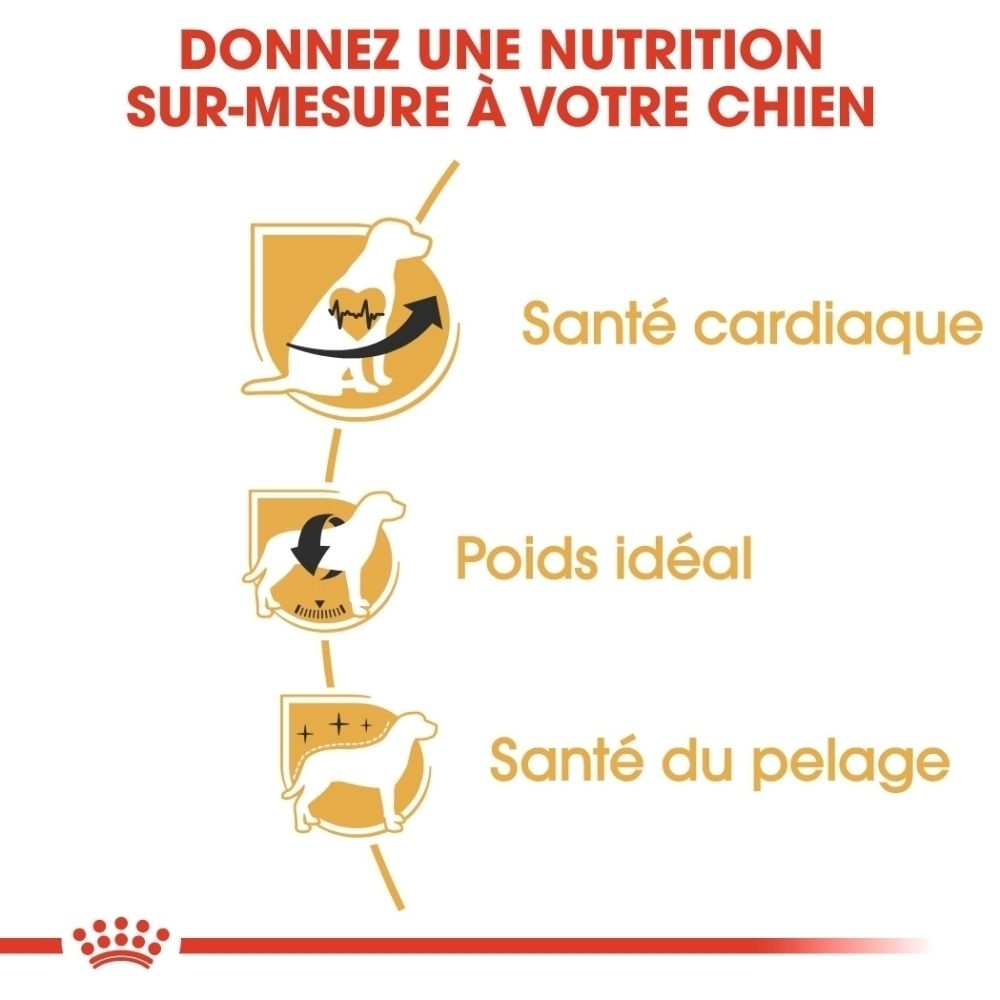 Trois icônes montrent des chiens pour la santé cardiaque, le poids idéal et la santé du pelage.