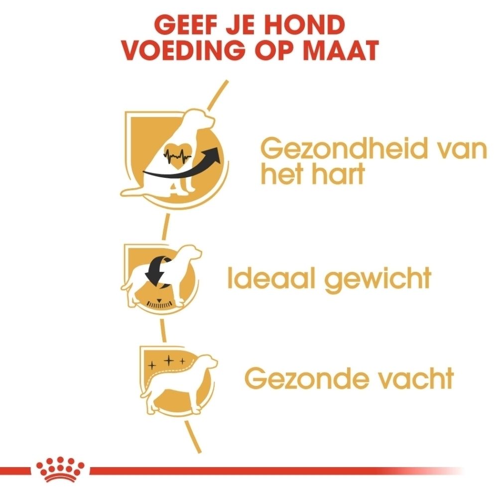 Drie iconen tonen voordelen voor honden: gezondheid van het hart, ideaal gewicht, gezonde vacht.