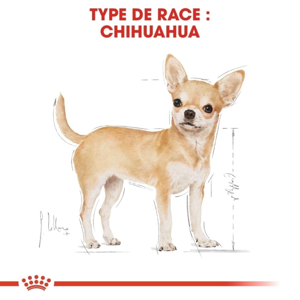 Sac de nourriture ROYAL CANIN Chihuahua Adulte, vue de côté.