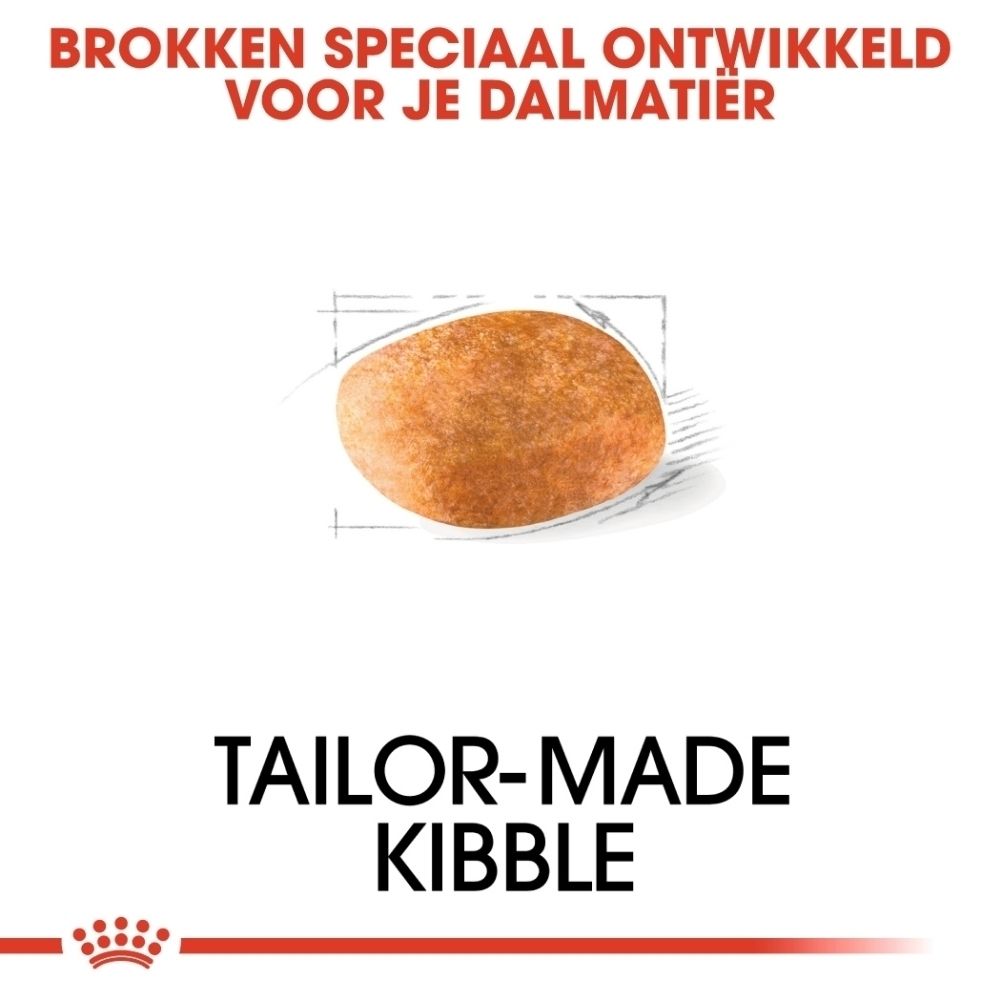 Illustratie van een Dalmatier met tekst over op maat gemaakte brokken.