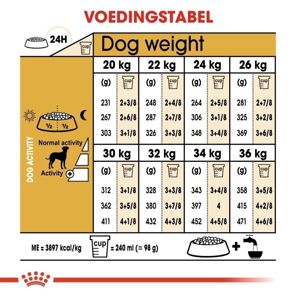 Illustratie van een Dalmatier met tekst over voeding op maat voor honden.