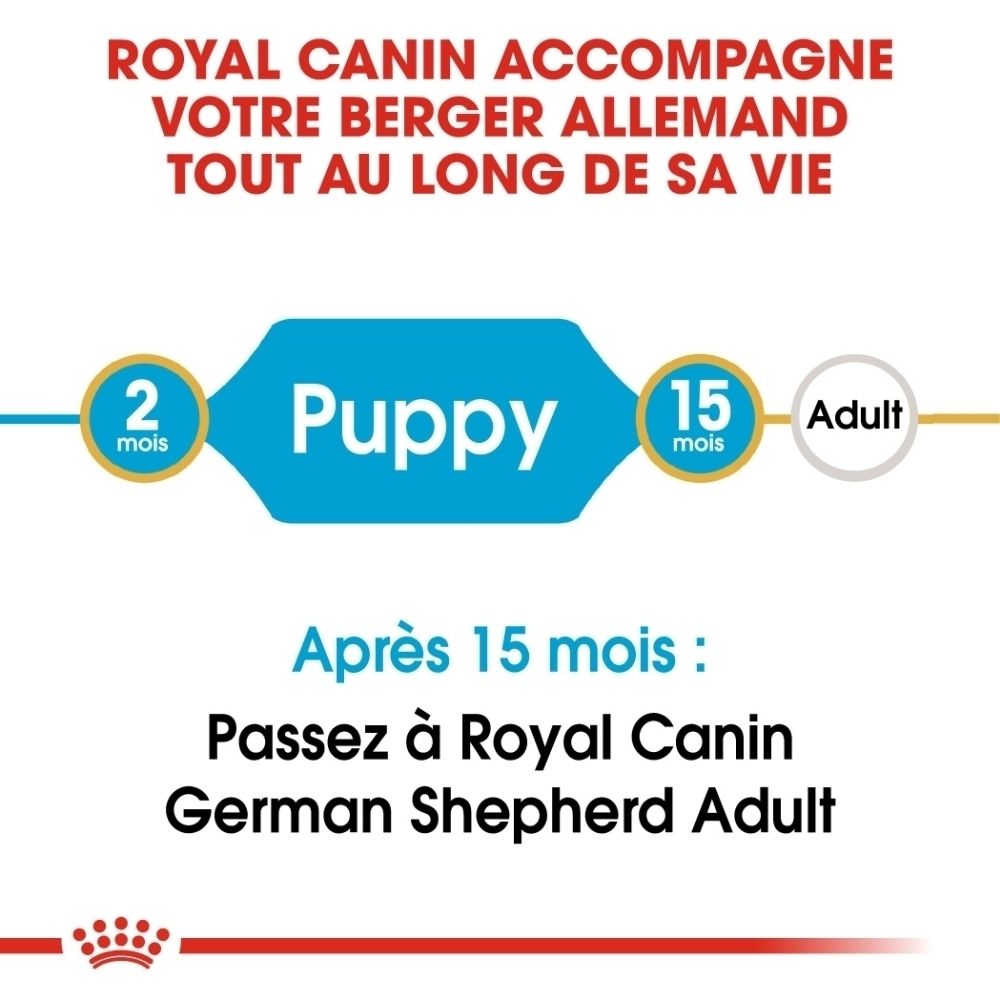 Sac Royal Canin German Shepherd Puppy avec informations sur le passage à l'alimentation adulte.