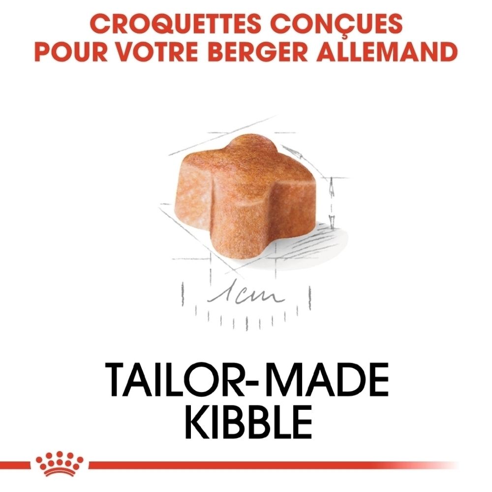 Sac Royal Canin German Shepherd Puppy montrant des croquettes sur mesure.
