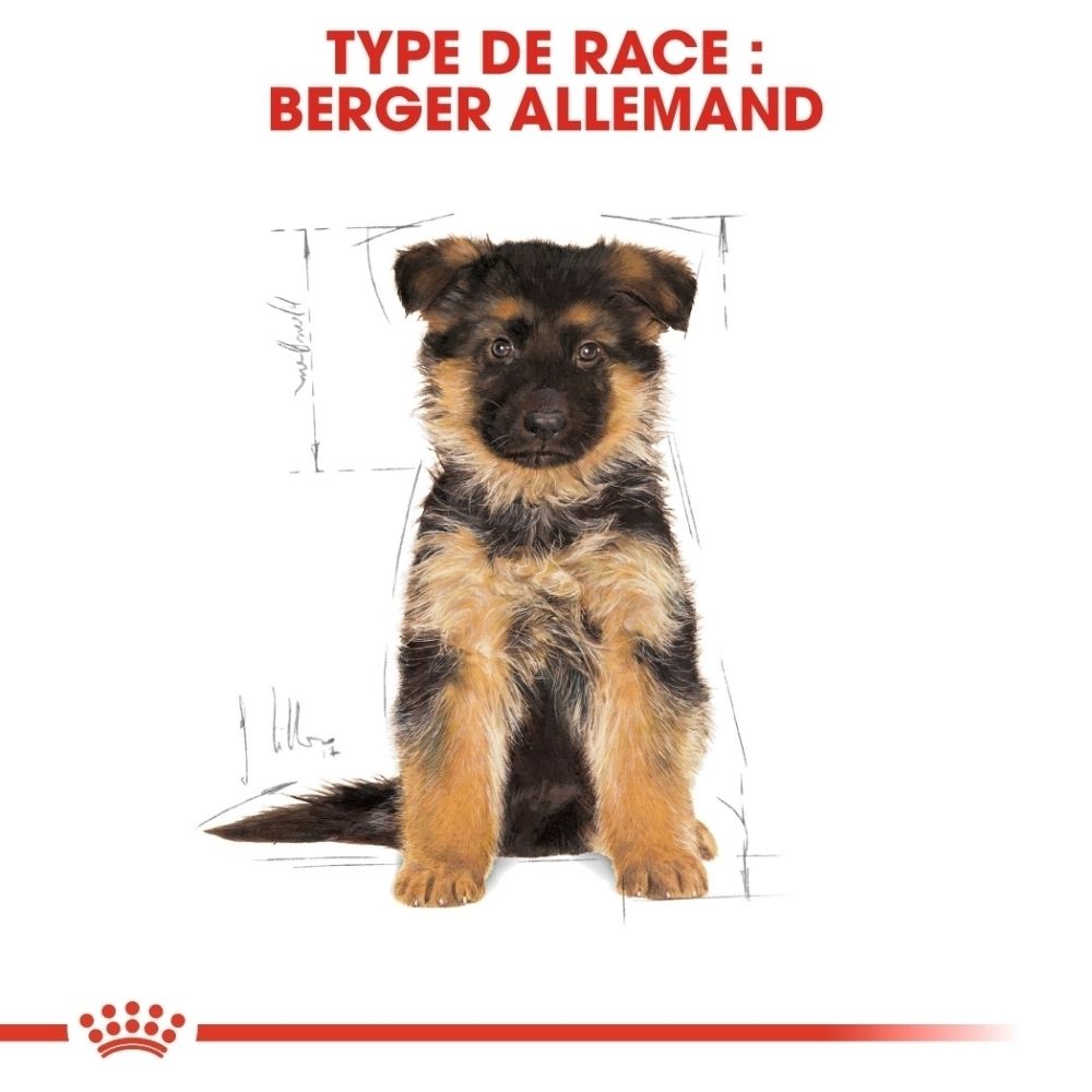 Sac Royal Canin German Shepherd Puppy avec image d'un chiot Berger Allemand et mention de la race.