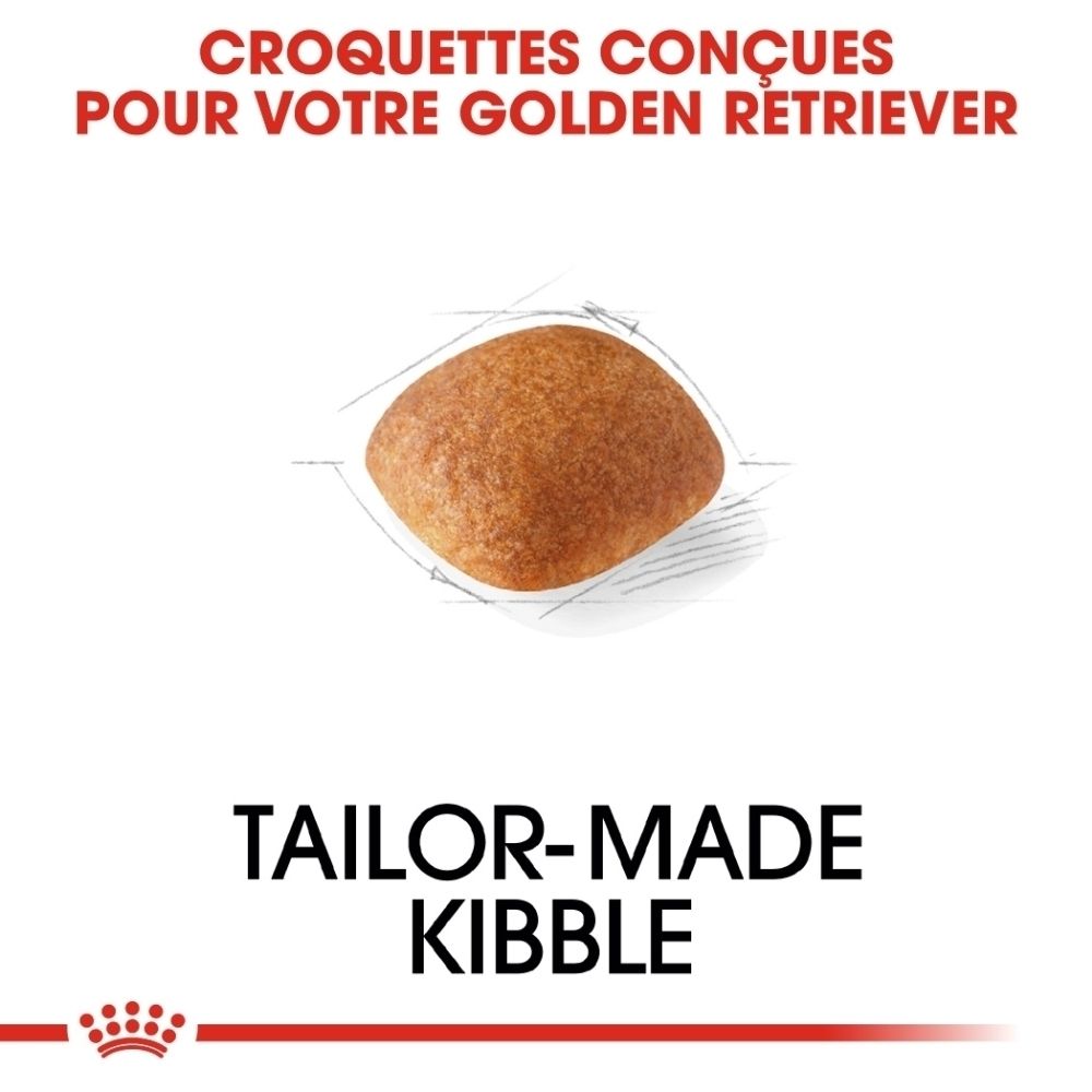 Une seule croquette pour chien, de couleur brune et de forme ovale.