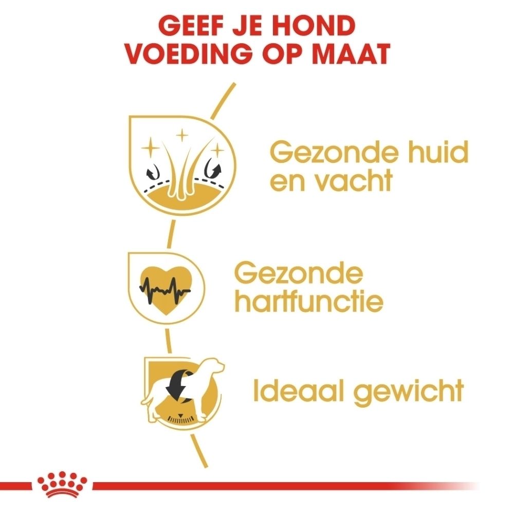 Voedingstabel voor ROYAL CANIN Golden Retriever Adult op basis van gewicht en activiteit.