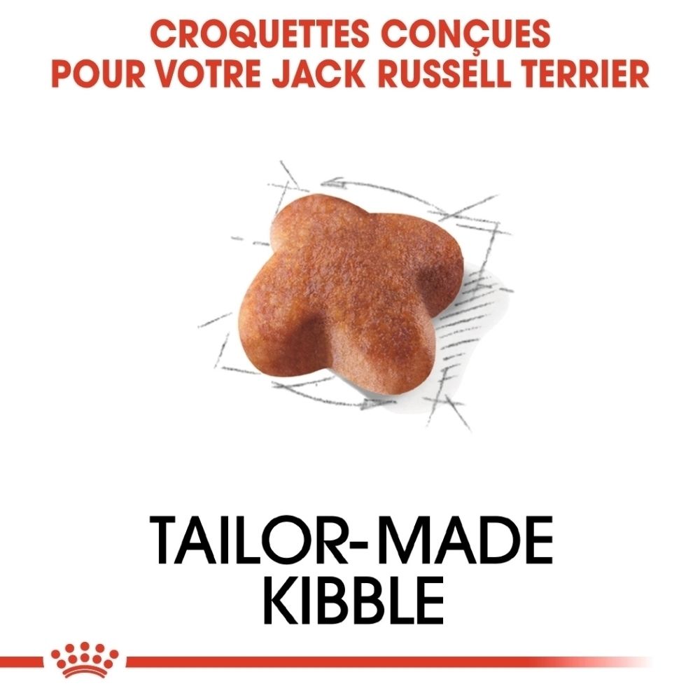 Une croquette pour chien en forme d'étoile sur un dessin technique.