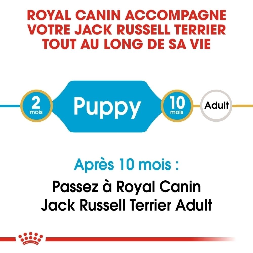 Avant du sac de nourriture pour chiot Royal Canin Jack Russell Terrier avec informations sur la nutrition de race et le soutien immunitaire.