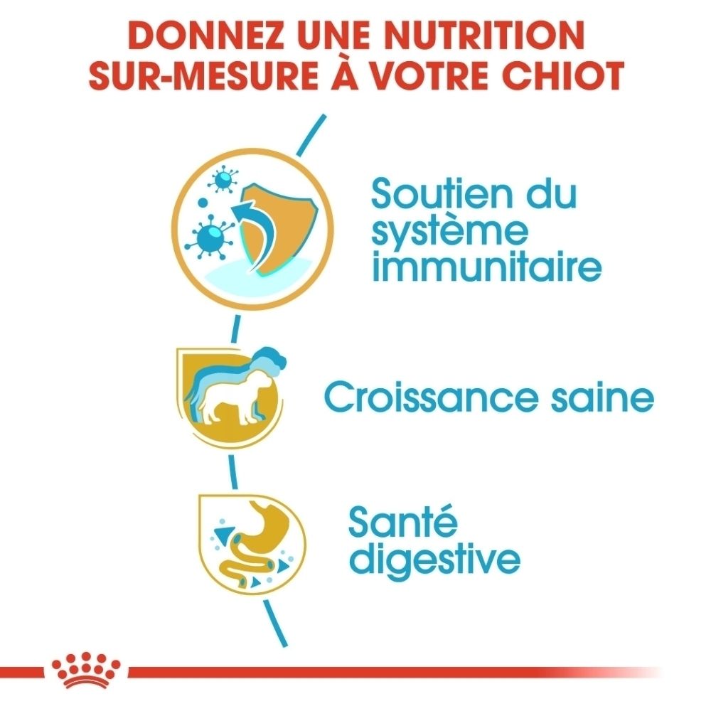Avant du sac de nourriture pour chiot Royal Canin Jack Russell Terrier avec informations sur la nutrition par phase de vie.