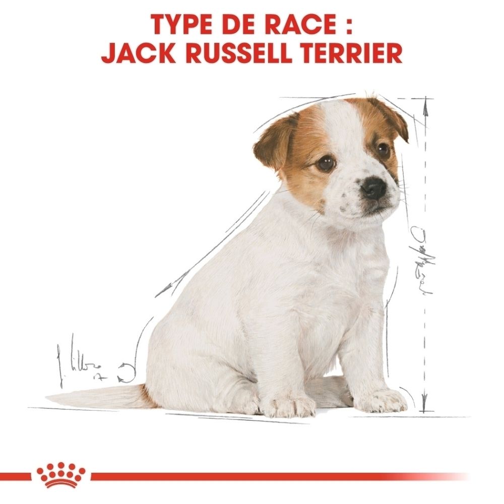 Avant du sac de nourriture pour chiot Royal Canin Jack Russell Terrier avec illustration d'une croquette sur mesure.