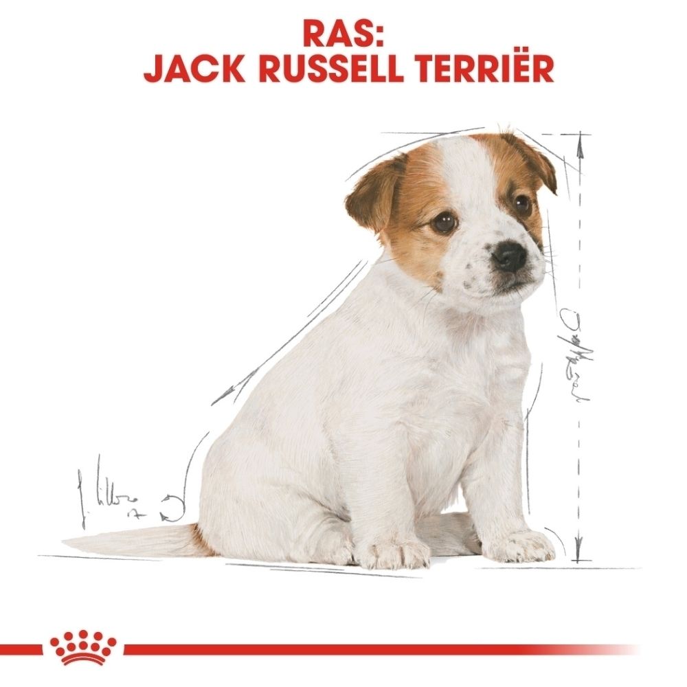 Voorkant van de Royal Canin Jack Russell Terrier Puppy hondenvoer verpakking met illustratie van een op maat gemaakte brok.