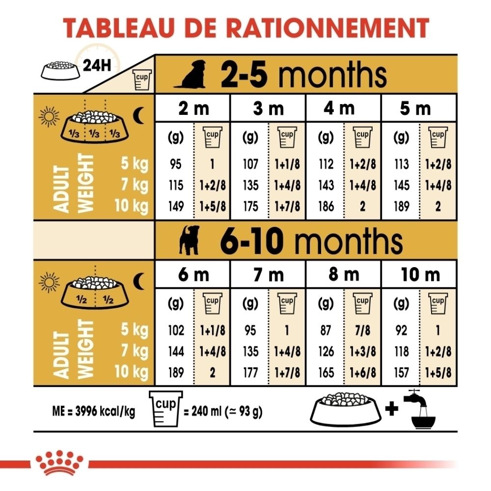 Avant du sac de nourriture pour chiot Royal Canin Jack Russell Terrier avec icônes pour le soutien immunitaire, la croissance et la digestion.
