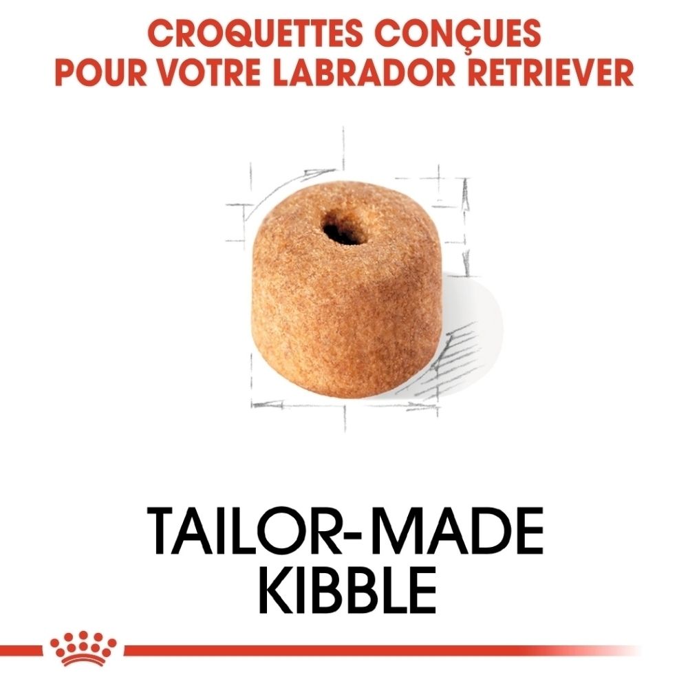 Une croquette unique en forme d'anneau pour Labrador Retriever.