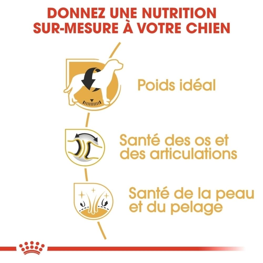Trois icônes : Poids idéal, santé des os et articulations, santé de la peau et du pelage.
