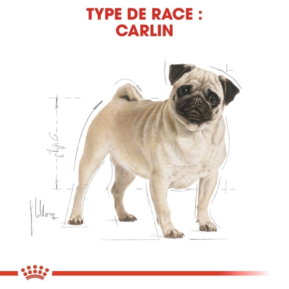 Sac ROYAL CANIN Pug Adult avec illustrations sur la peau saine et texte 'Peau saine'.