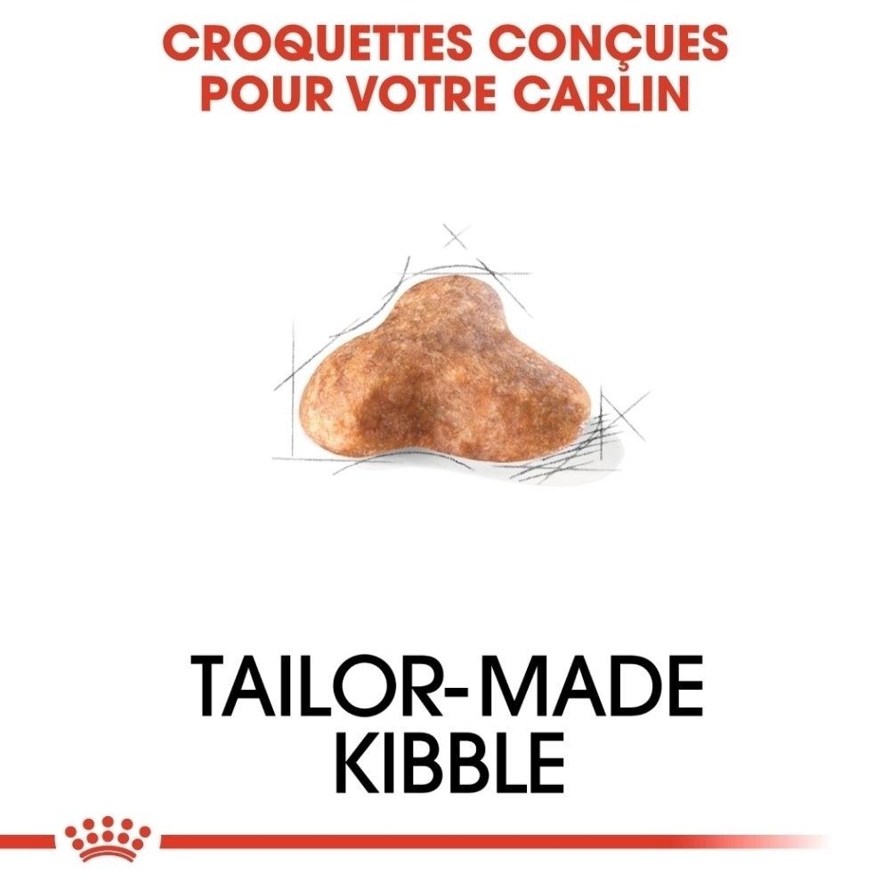 Sac ROYAL CANIN Pug Adult avec illustrations sur la peau saine et la tonicité musculaire.