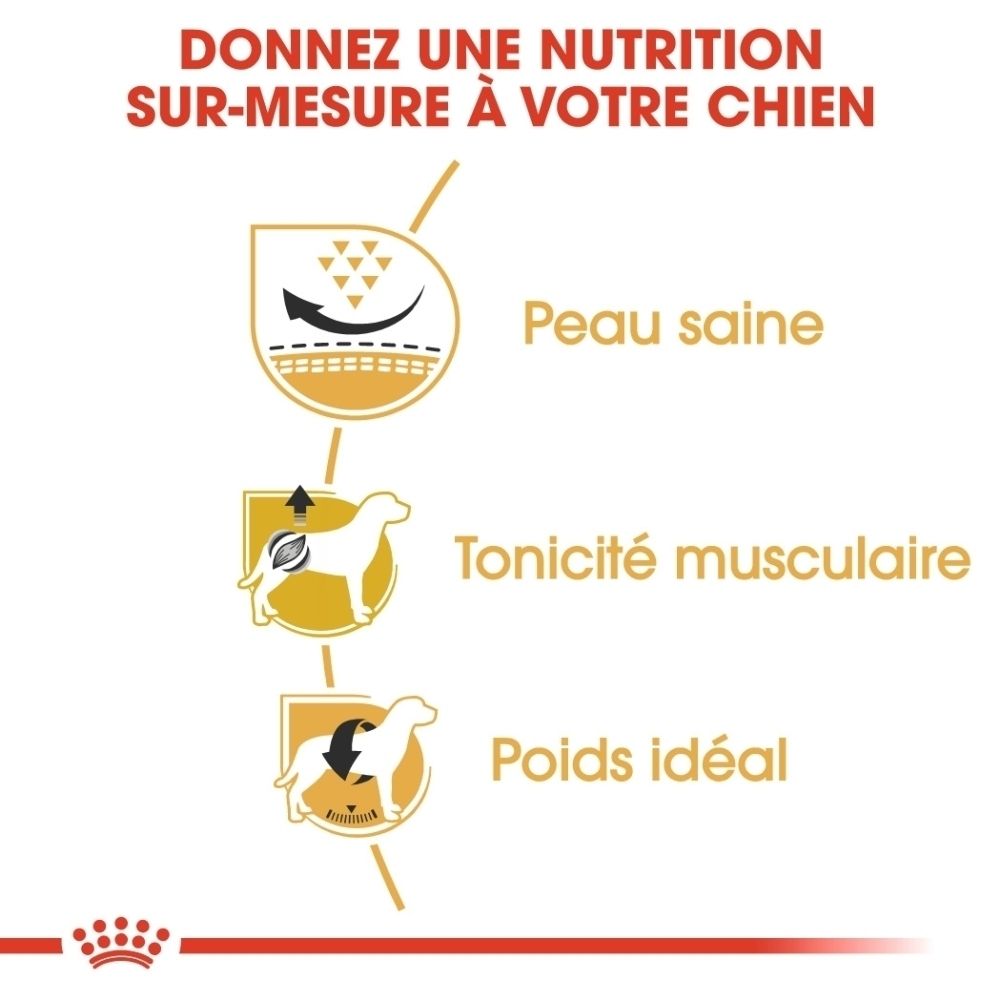 Sac ROYAL CANIN Pug Adult avec illustrations sur la peau saine, la tonicité musculaire et le poids.