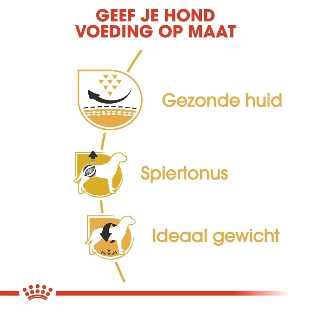 ROYAL CANIN Pug Adult voerzak met illustraties over gezonde huid, spiertonus en ideaal gewicht.