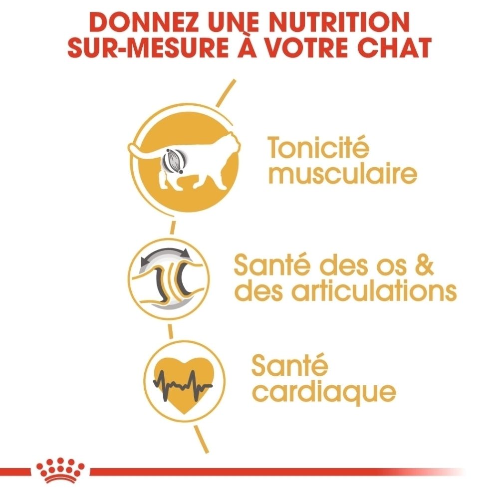 Graphique avec trois icônes : tonicité musculaire, santé des os et articulations, santé cardiaque.