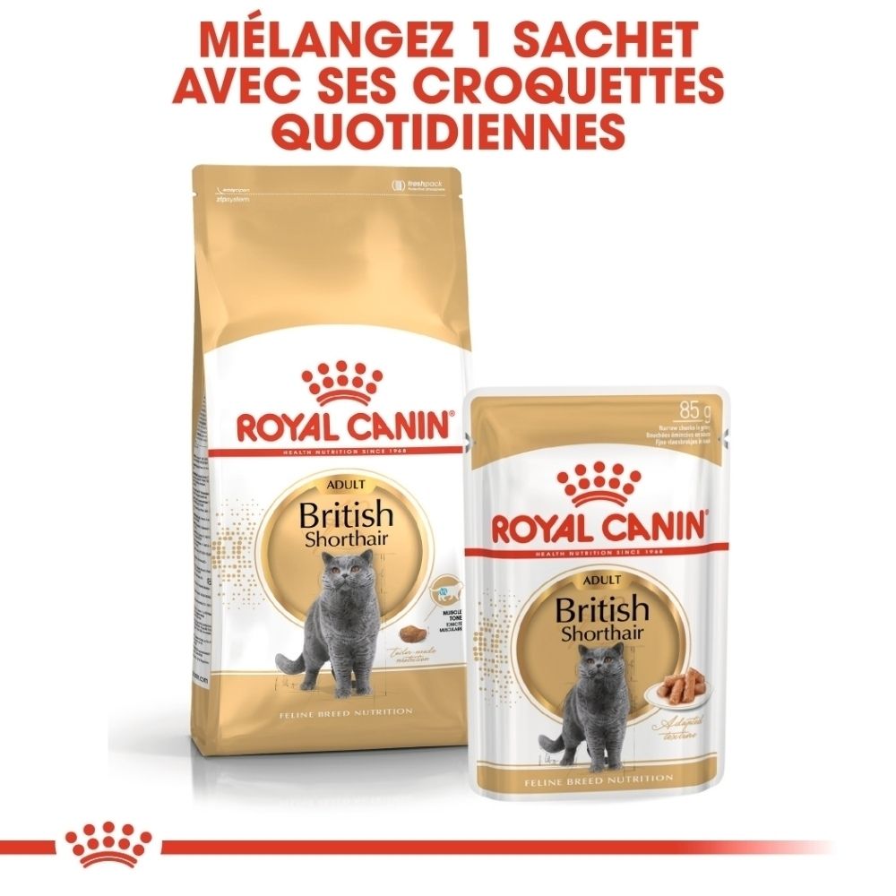Nourriture Royal Canin British Shorthair pour chat : grand sac et sachet avec image de chat.