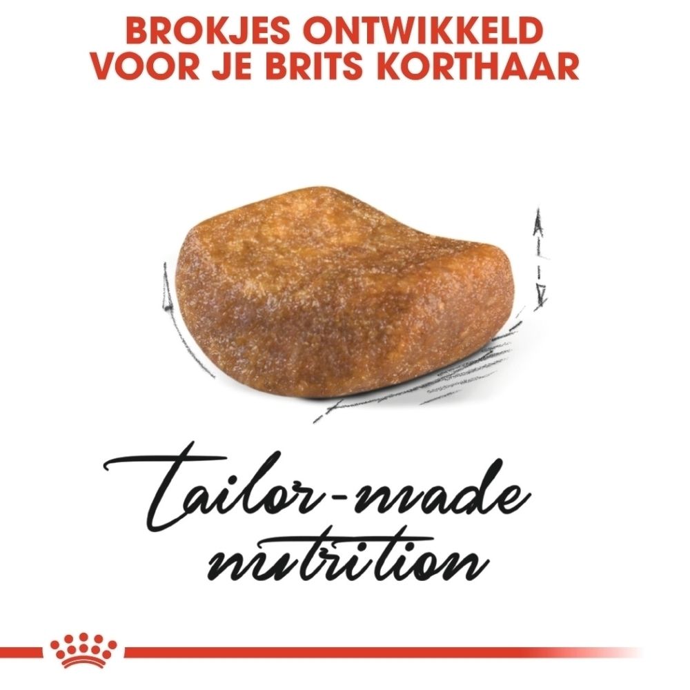 Een enkele, bruine brok met zichtbare afmetingen.