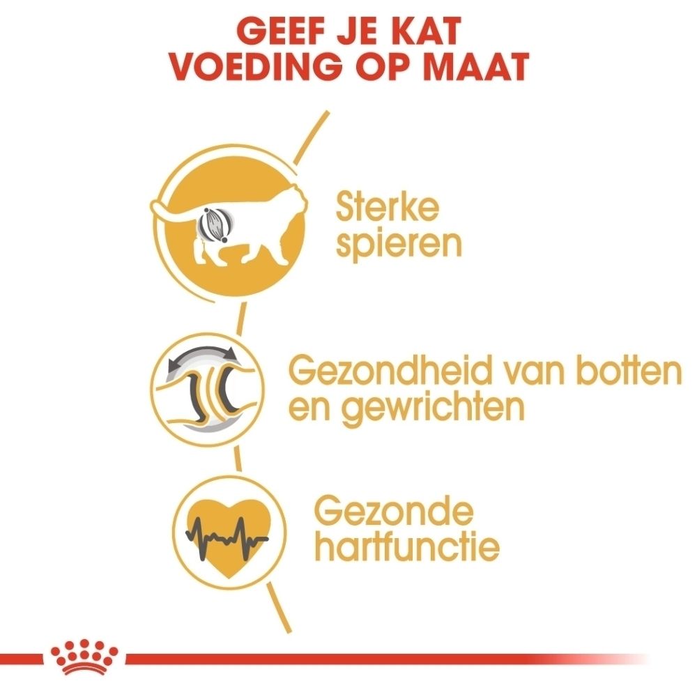 Grafiek met iconen voor sterke spieren, gezonde botten en gewrichten, gezonde hartfunctie. Tekst: "Voeding op maat".