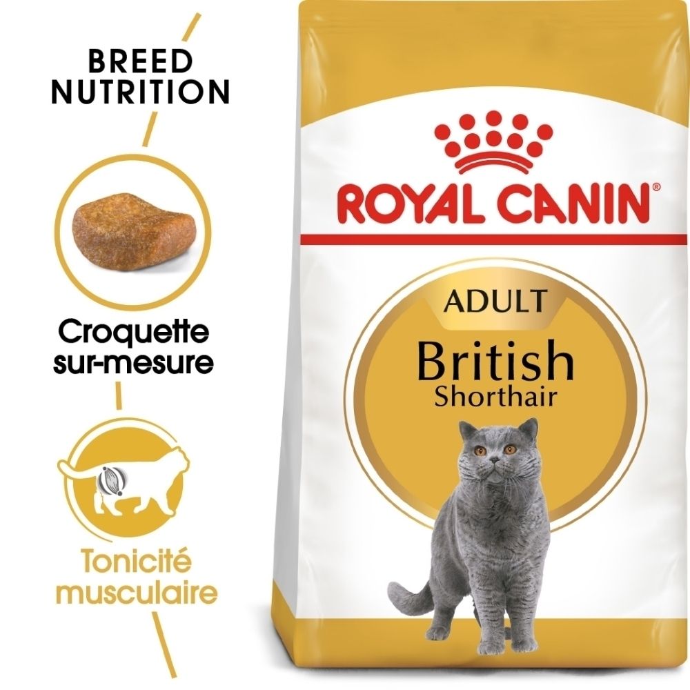 Croquettes Royal Canin pour chats adultes British Shorthair. Sac avec un chat.