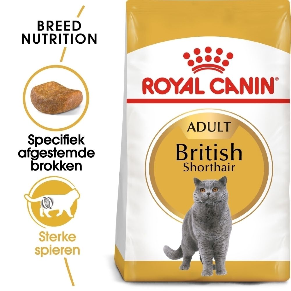 Royal Canin kattenvoer voor volwassen Britse Korthaar katten. Specifiek afgestemde brokken voor sterke spieren.