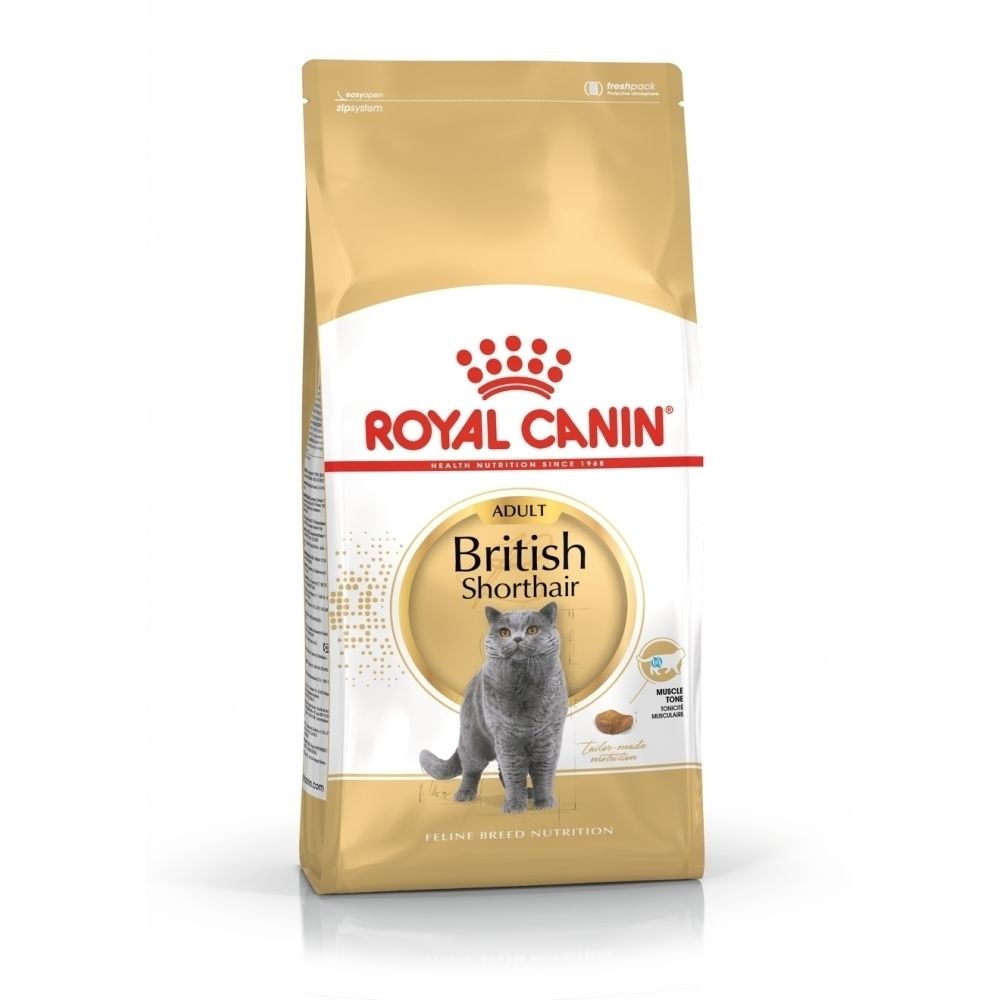 Croquettes Royal Canin pour chats adultes British Shorthair. Emballage doré avec image de chat.